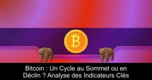 Bitcoin : Un Cycle au Sommet ou en Déclin ? Analyse des Indicateurs Clés