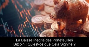 La Baisse Inédite des Portefeuilles Bitcoin : Qu&rsquo;est-ce que Cela Signifie ?