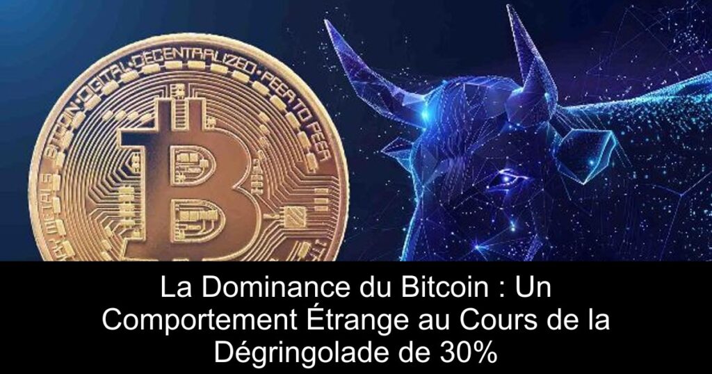La Dominance du Bitcoin : Un Comportement Étrange au Cours de la Dégringolade de 30%