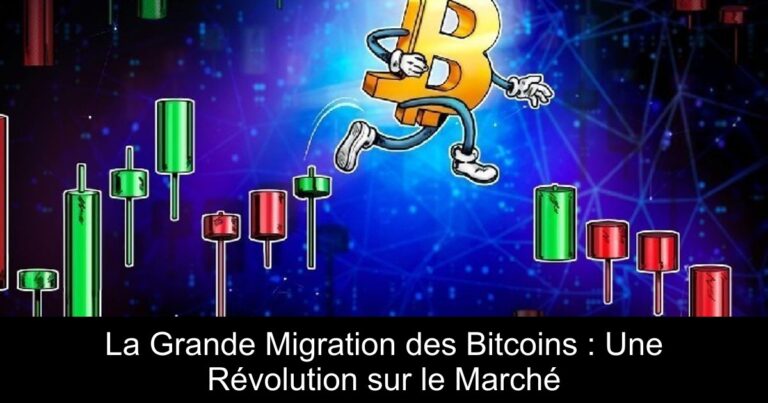 La Grande Migration des Bitcoins : Une Révolution sur le Marché