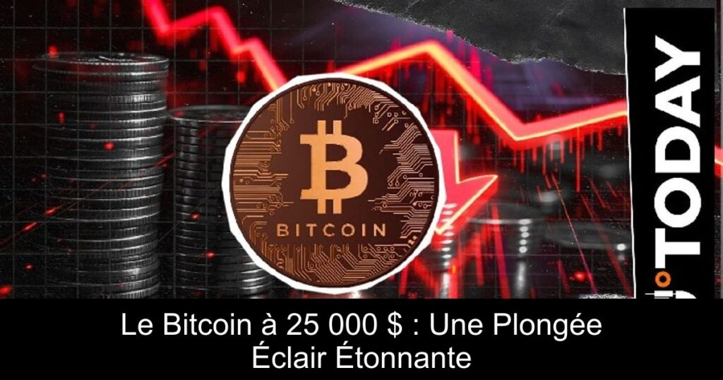 Le Bitcoin à 25 000 $ : Une Plongée Éclair Étonnante