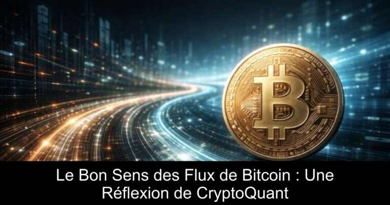 Le Bon Sens des Flux de Bitcoin : Une Réflexion de CryptoQuant