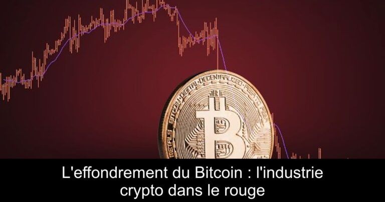 L'effondrement du Bitcoin : l'industrie crypto dans le rouge