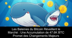 Les Baleines du Bitcoin Réveillent le Marché : Une Accumulation de 47.6K BTC Promet des Changements Majeurs