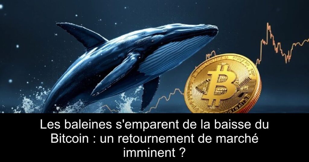 Les baleines s’emparent de la baisse du Bitcoin : un retournement de marché imminent ?