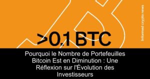 Pourquoi le Nombre de Portefeuilles Bitcoin Est en Diminution : Une Réflexion sur l&rsquo;Évolution des Investisseurs