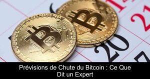 Prévisions de Chute du Bitcoin : Ce Que Dit un Expert