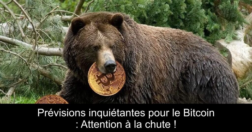 Prévisions inquiétantes pour le Bitcoin : Attention à la chute !