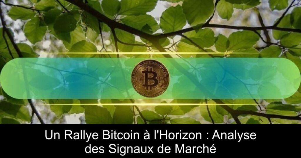 Un Rallye Bitcoin à l&rsquo;Horizon : Analyse des Signaux de Marché