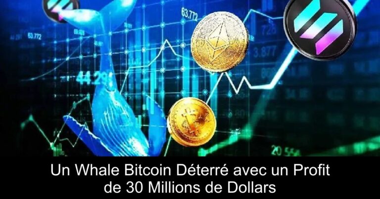 Un Whale Bitcoin Déterré avec un Profit de 30 Millions de Dollars