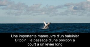 Une importante manœuvre d’un baleinier Bitcoin : le passage d’une position à court à un levier long