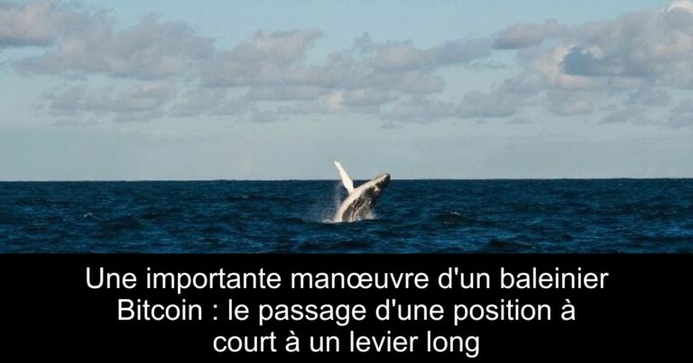 Une importante manœuvre d'un baleinier Bitcoin : le passage d'une position à court à un levier long