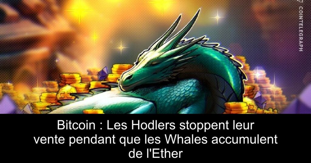 Bitcoin : Les Hodlers stoppent leur vente pendant que les Whales accumulent de l&rsquo;Ether