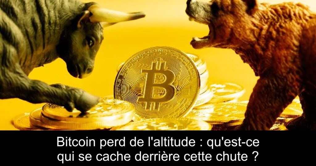 Bitcoin perd de l&rsquo;altitude : qu&rsquo;est-ce qui se cache derrière cette chute ?