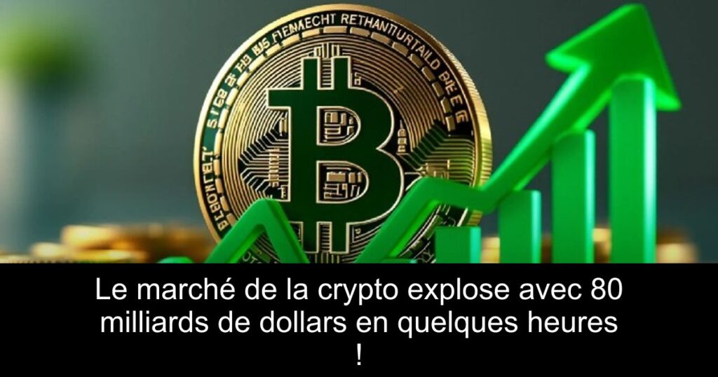 Le marché de la crypto explose avec 80 milliards de dollars en quelques heures !