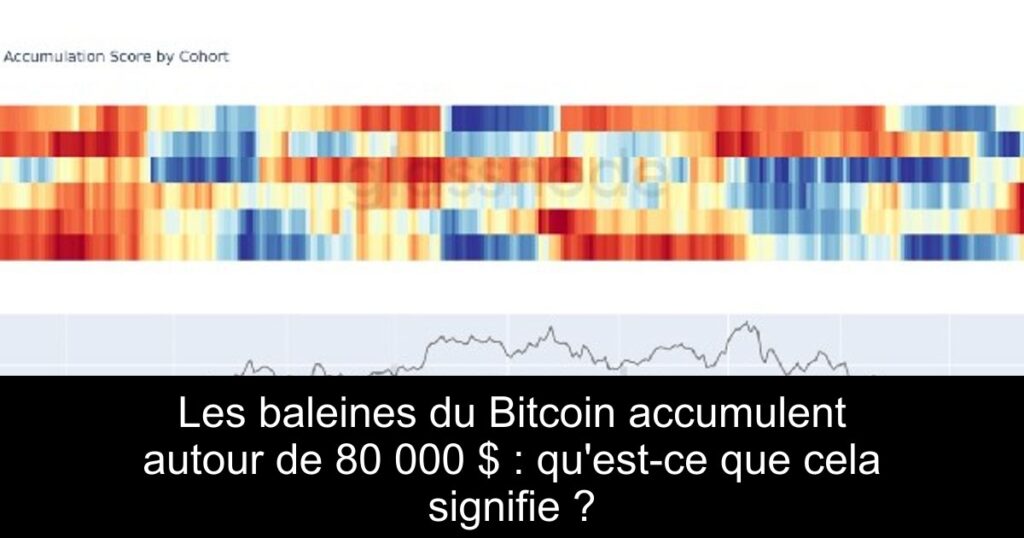 Les baleines du Bitcoin accumulent autour de 80 000 $ : qu&rsquo;est-ce que cela signifie ?