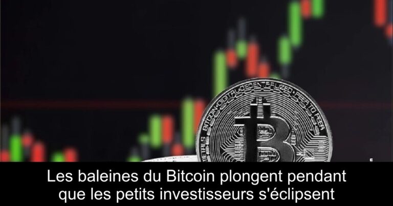 Les baleines du Bitcoin plongent pendant que les petits investisseurs s'éclipsent