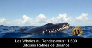Les Whales au Rendez-vous : 1,600 Bitcoins Retirés de Binance