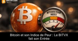 Bitcoin et son Indice de Peur : Le BITVX fait son Entrée