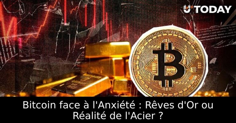 Bitcoin face à l'Anxiété : Rêves d'Or ou Réalité de l'Acier ?