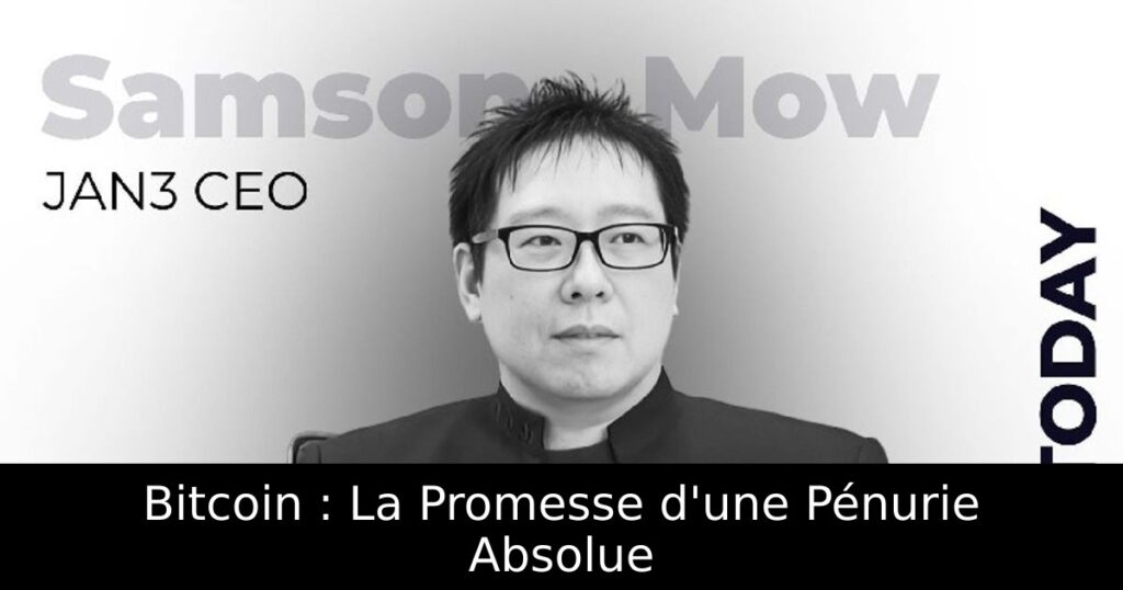 Bitcoin : La Promesse d&rsquo;une Pénurie Absolue