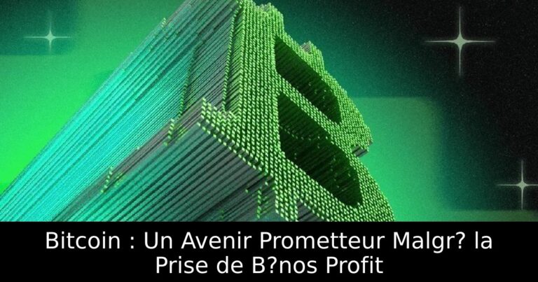 Bitcoin : Un Avenir Prometteur Malgr? la Prise de B?nos Profit
