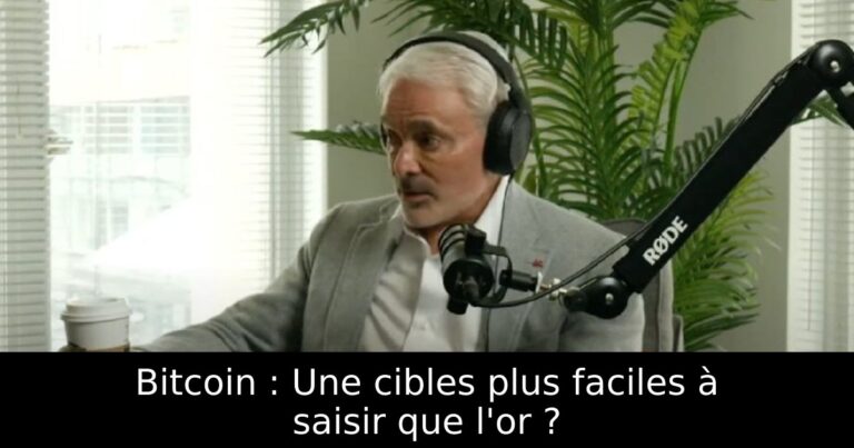 Bitcoin : Une cibles plus faciles à saisir que l'or ?