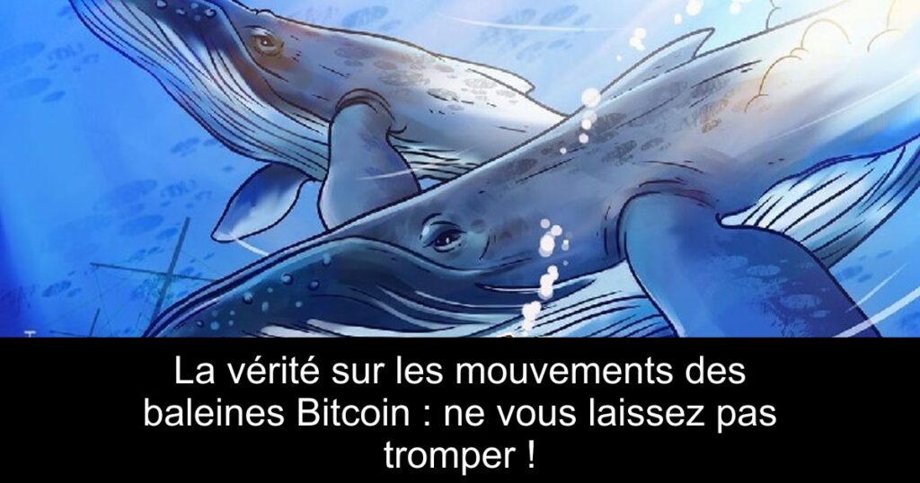 La vérité sur les mouvements des baleines Bitcoin : ne vous laissez pas tromper !