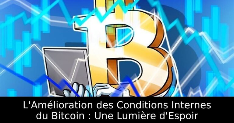 L'Amélioration des Conditions Internes du Bitcoin : Une Lumière d'Espoir