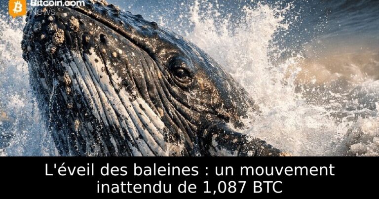 L'éveil des baleines : un mouvement inattendu de 1,087 BTC