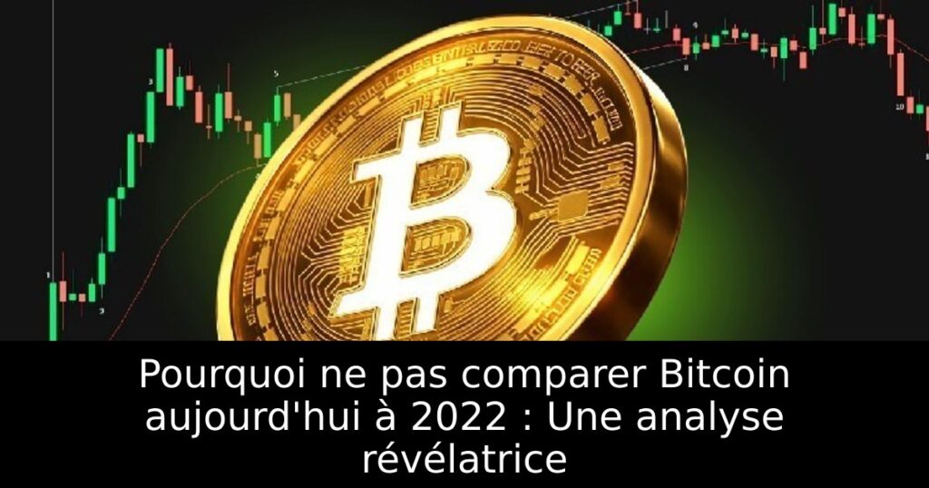 Pourquoi ne pas comparer Bitcoin aujourd&rsquo;hui à 2022 : Une analyse révélatrice