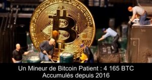 Un Mineur de Bitcoin Patient : 4 165 BTC Accumulés depuis 2016
