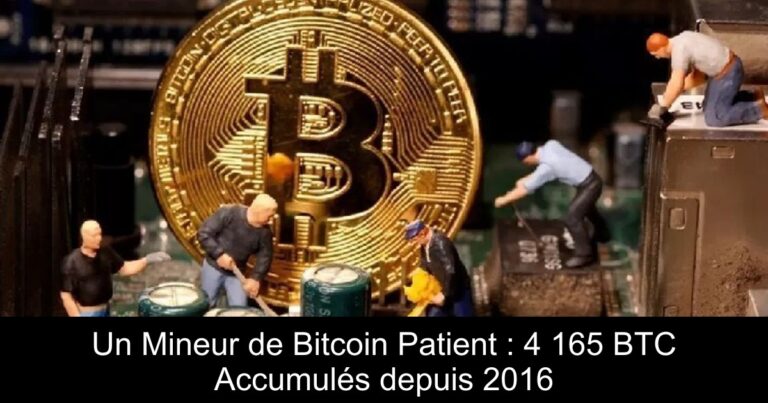 Un Mineur de Bitcoin Patient : 4 165 BTC Accumulés depuis 2016