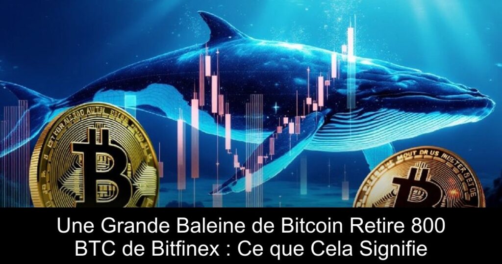 Une Grande Baleine de Bitcoin Retire 800 BTC de Bitfinex : Ce que Cela Signifie
