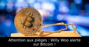 Attention aux pièges : Willy Woo alerte sur Bitcoin !