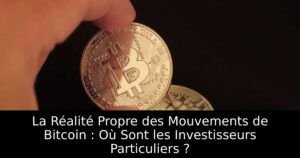 La Réalité Propre des Mouvements de Bitcoin : Où Sont les Investisseurs Particuliers ?