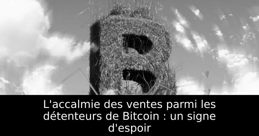 L&rsquo;accalmie des ventes parmi les détenteurs de Bitcoin : un signe d&rsquo;espoir