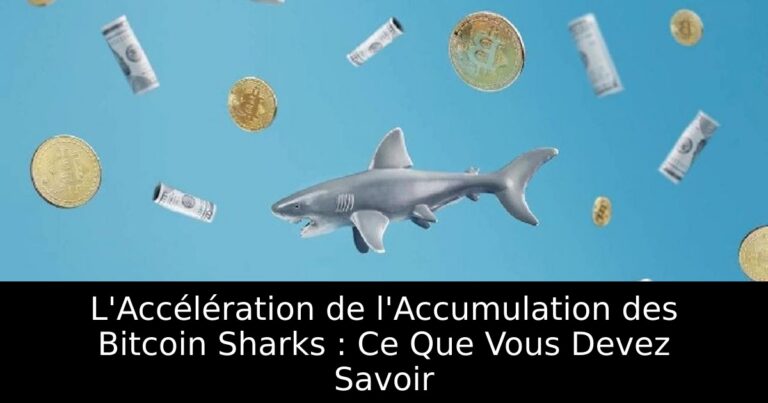 L'Accélération de l'Accumulation des Bitcoin Sharks : Ce Que Vous Devez Savoir