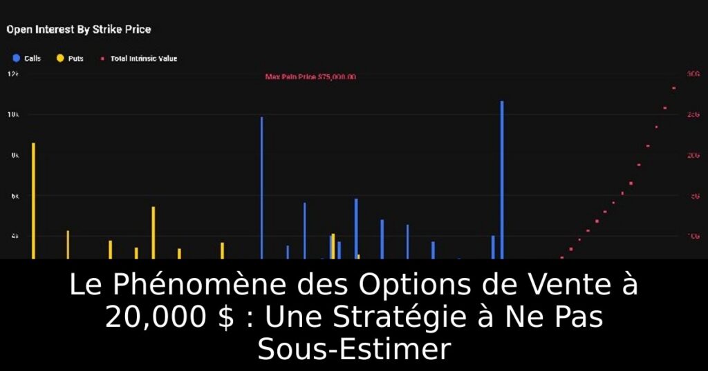 Le Phénomène des Options de Vente à 20,000 $ : Une Stratégie à Ne Pas Sous-Estimer