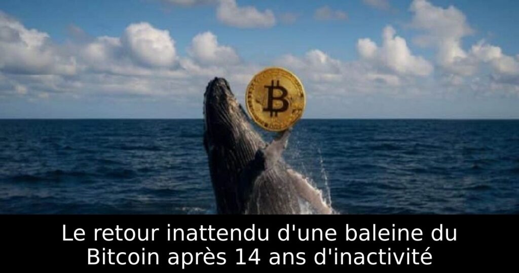 Le retour inattendu d&rsquo;une baleine du Bitcoin après 14 ans d&rsquo;inactivité