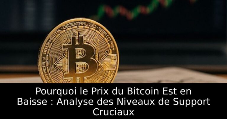 Pourquoi le Prix du Bitcoin Est en Baisse : Analyse des Niveaux de Support Cruciaux
