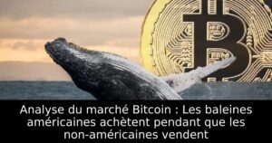 Analyse du marché Bitcoin : Les baleines américaines achètent pendant que les non-américaines vendent