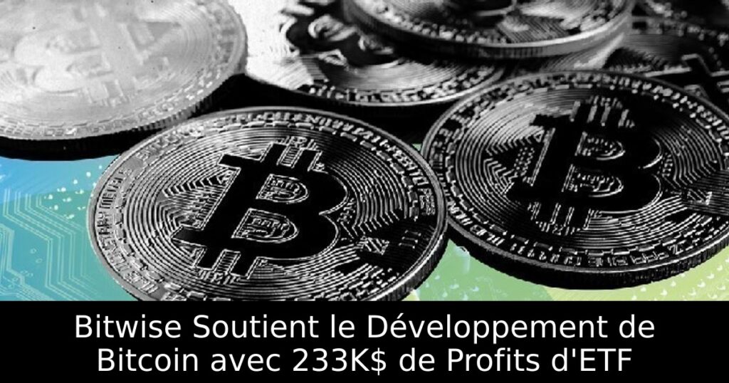 Bitwise Soutient le Développement de Bitcoin avec 233K$ de Profits d&rsquo;ETF