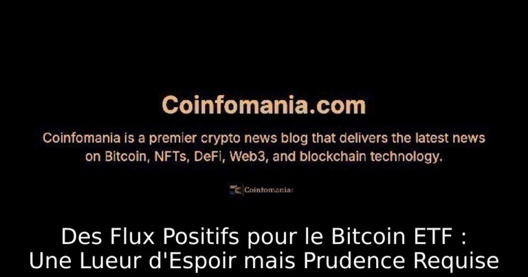Des Flux Positifs pour le Bitcoin ETF : Une Lueur d'Espoir mais Prudence Requise