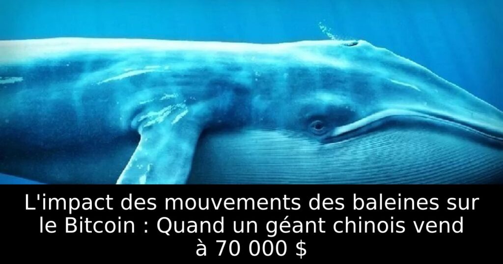 L&rsquo;impact des mouvements des baleines sur le Bitcoin : Quand un géant chinois vend à 70 000 $