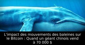 L&rsquo;impact des mouvements des baleines sur le Bitcoin : Quand un géant chinois vend à 70 000 $