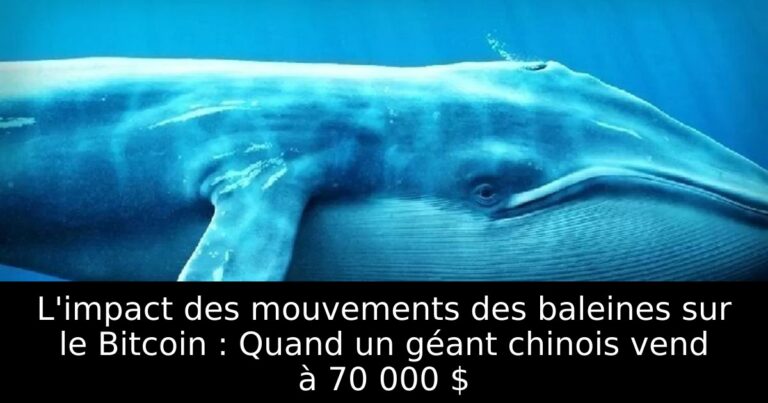 L'impact des mouvements des baleines sur le Bitcoin : Quand un géant chinois vend à 70 000 $