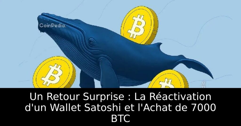 Un Retour Surprise : La Réactivation d&rsquo;un Wallet Satoshi et l&rsquo;Achat de 7000 BTC